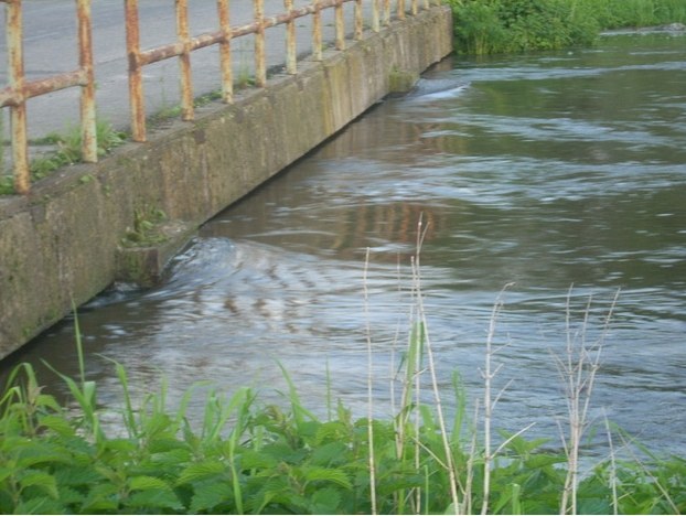 &nbsp; &nbsp; /&nbsp; /Gorąca Linia RMF FM