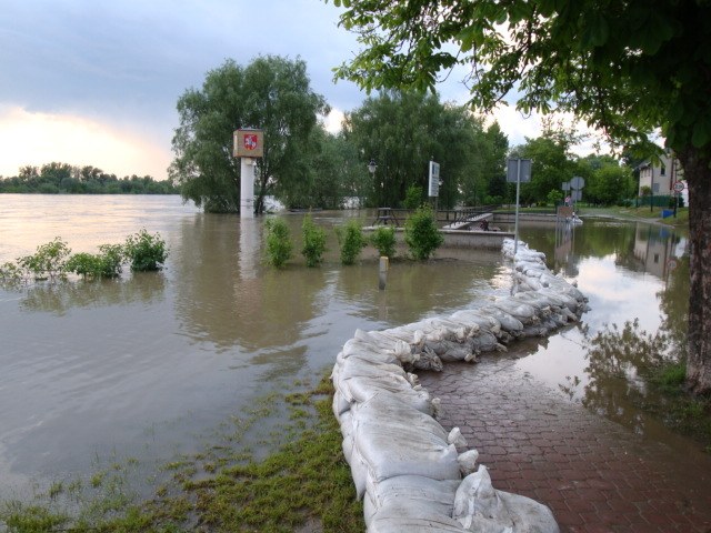 &nbsp; &nbsp; /&nbsp; /Gorąca Linia RMF FM