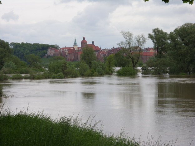 &nbsp; &nbsp; /&nbsp; /Gorąca Linia RMF FM