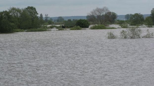 &nbsp; &nbsp; /Rafał /Gorąca Linia RMF FM