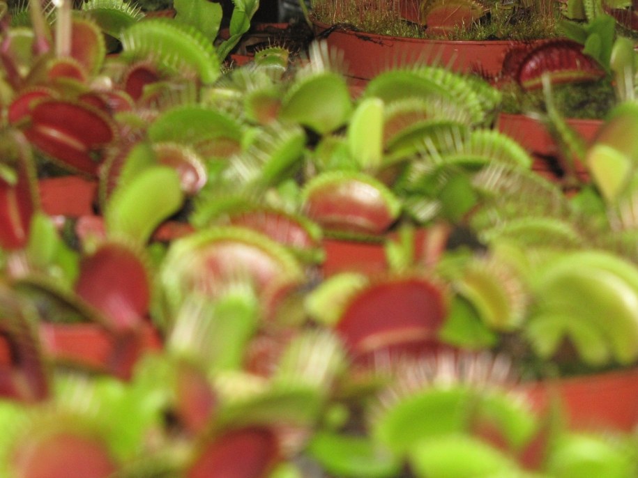 &nbsp; &nbsp; /poboczem.pl