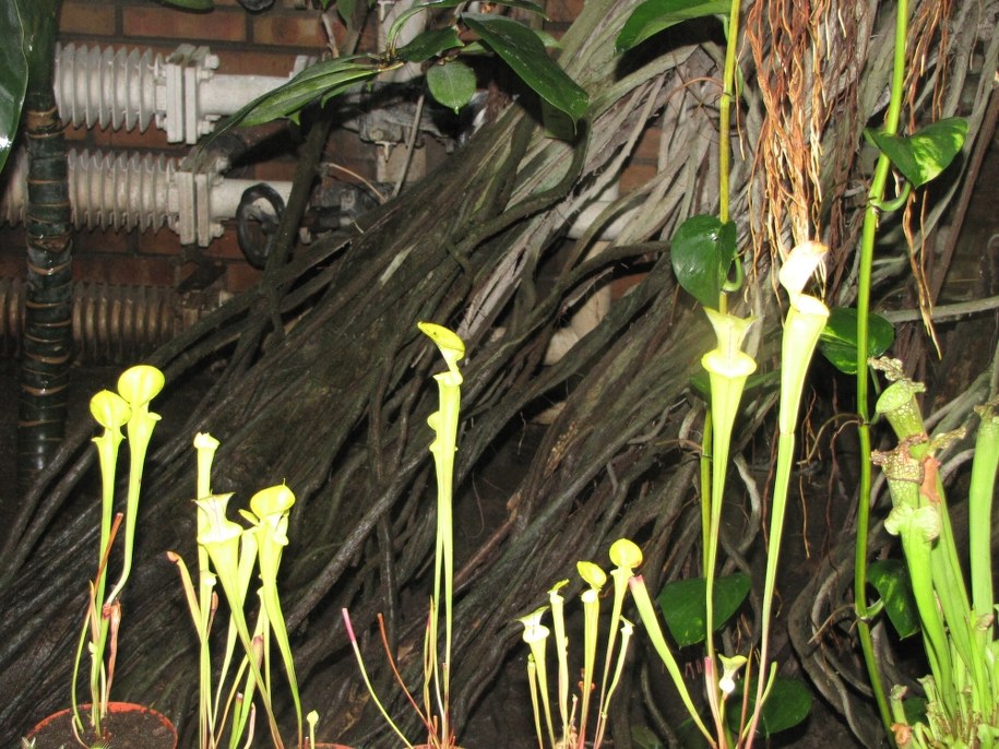 &nbsp; &nbsp; /Piotr witkowski /RMF FM