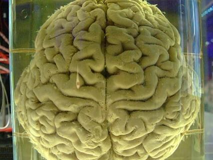 &nbsp; &nbsp; /Fot. section508.gov