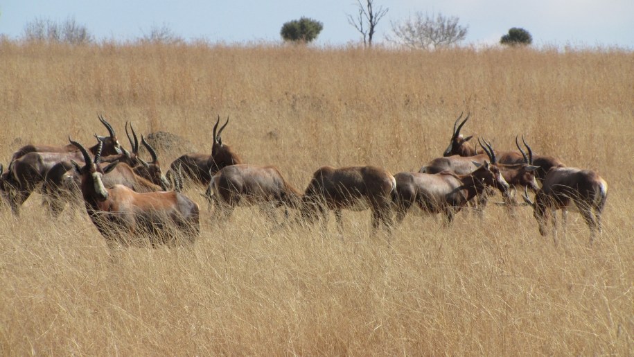 &nbsp; &nbsp; /Patryk Serwaski /RMF FM