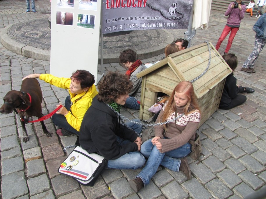 &nbsp; &nbsp; /Piotr witkowski /RMF FM