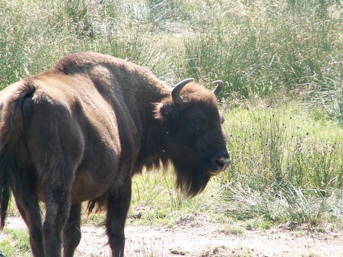 &nbsp; &nbsp; /Jairo S. Feris Delgado, Creative Commons Attribution-Share Alike 3.0 Unported /PAP/EPA