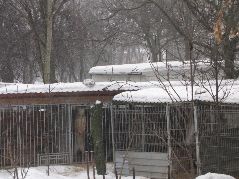 &nbsp; &nbsp; /Piotr witkowski /RMF FM