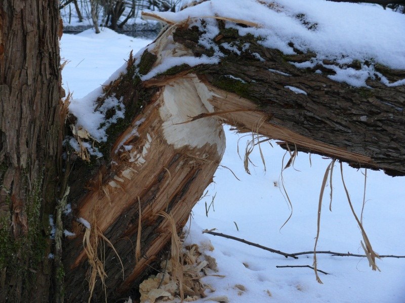 &nbsp; &nbsp; /fot. Jan Latała /RMF FM