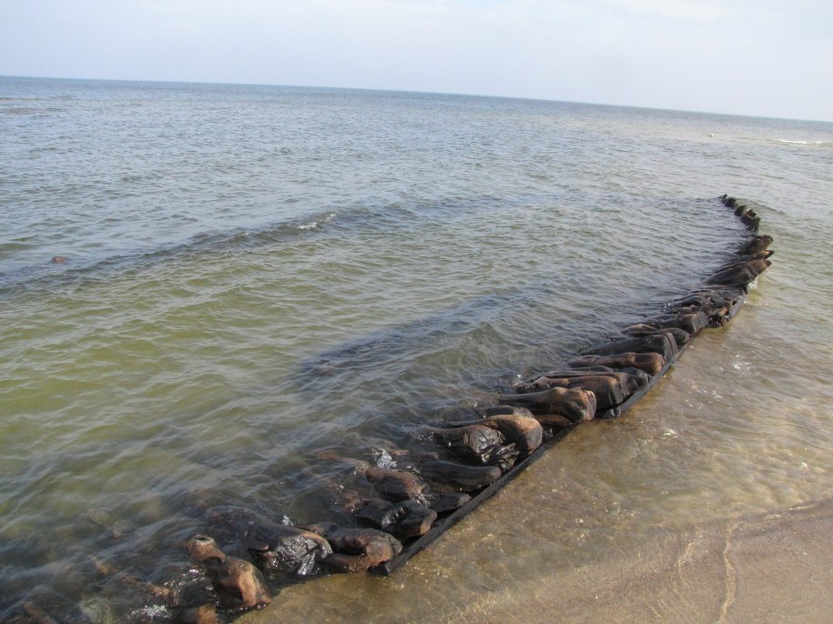 &nbsp; &nbsp; /Fot. Grzegorz Hatylak /RMF FM