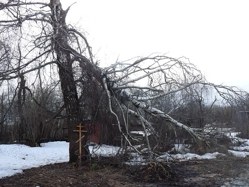 &nbsp; &nbsp; /Michał Dukaczewski /RMF FM