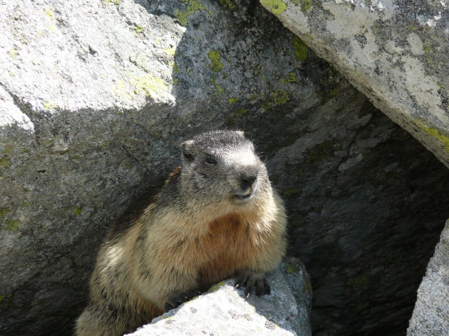 &nbsp; &nbsp; /fot. Jan Lata?a /RMF FM