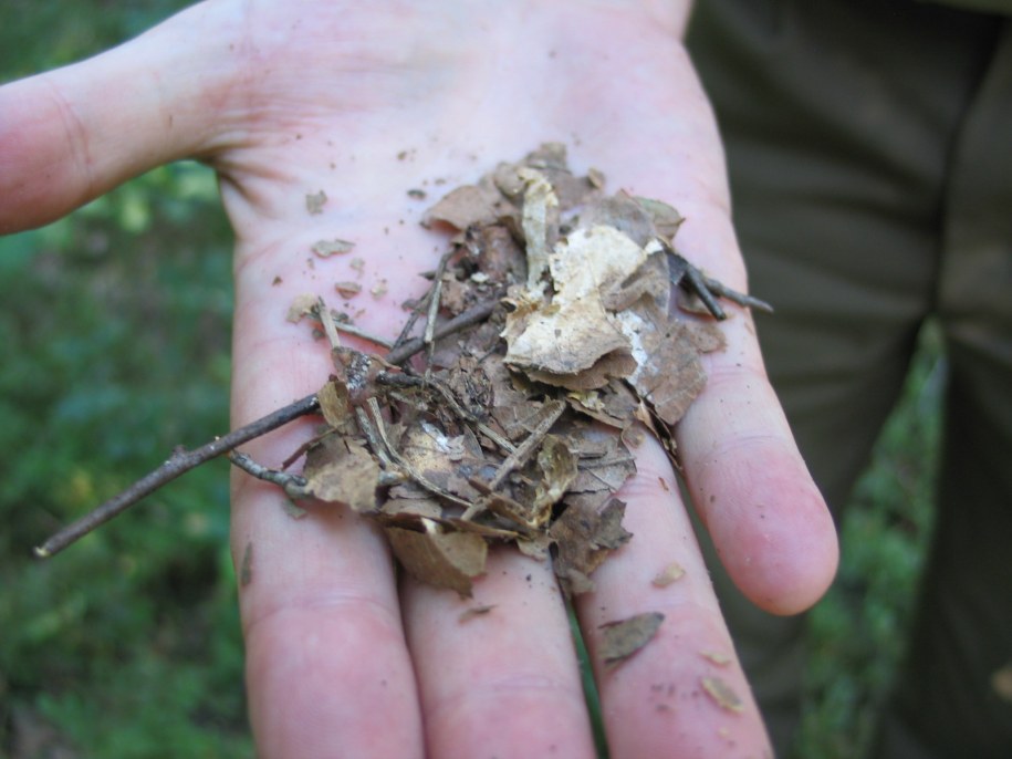 &nbsp; &nbsp; /Fot. Krzysztof Kot /RMF FM