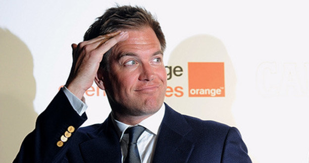 &nbsp; Michael Weatherly /AFP