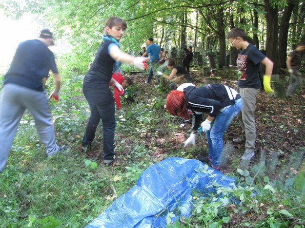 &nbsp; Na cmentarzu pracują głównie młodzi ludzie. O akcji dowiedzieli się m.in. z portali społecznościowych /fot. Agnieszka Wyderka /RMF FM