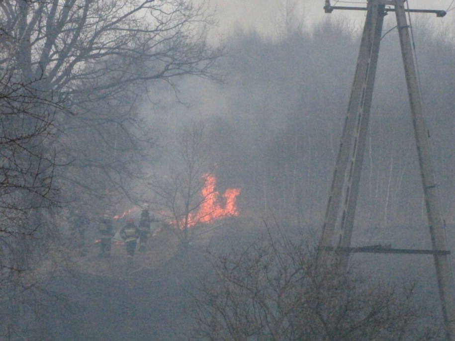 &nbsp; Pożar na przedmieściach Łodzi /Agnieszka Wyderka /RMF FM