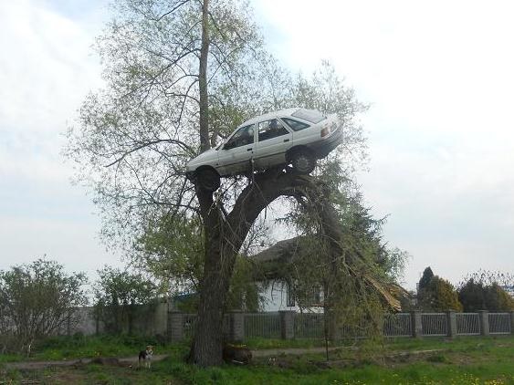 &nbsp; Samochód na drzewie /Zdjęcie dzięki uprzejmości mieszkańców Lubczyna /RMF FM
