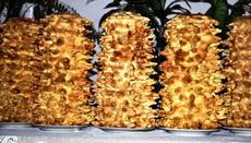 &nbsp; Sękacz /Andrzej Piedziewicz /RMF FM