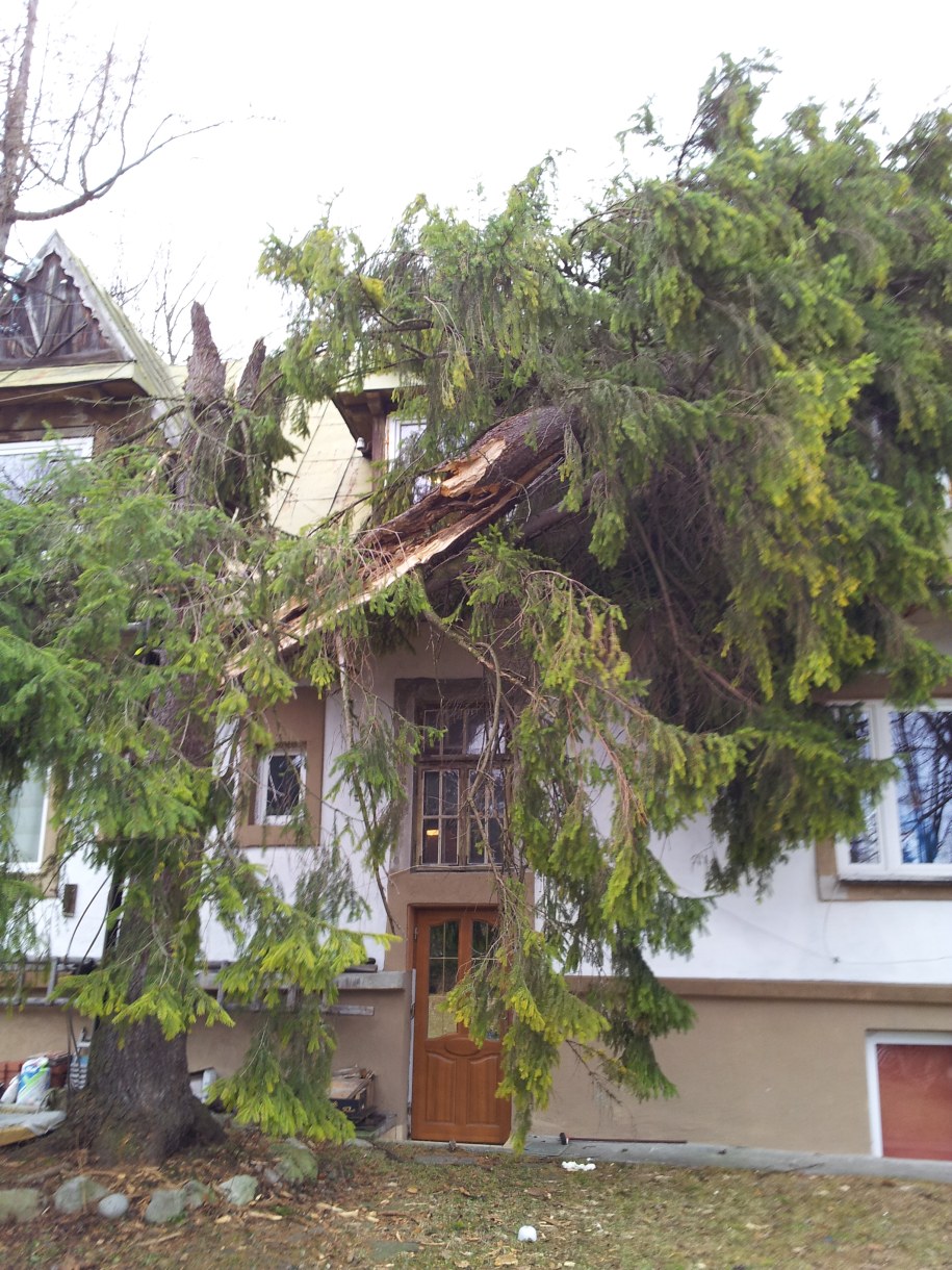 &nbsp; W Zakopanem wichura łamie drzewa /poboczem.pl