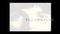 "Biały Album" The Beatles