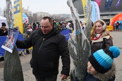 "Choinki pod choinkę od RMF FM i Małopolski w Katowicach"