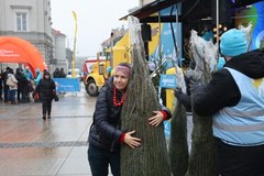 "Choinki pod choinkę od RMF FM i Małopolski". Dziś Kielce!