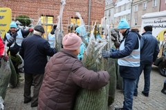 "Choinki pod choinkę od RMF FM i Małopolski" w Olsztynie