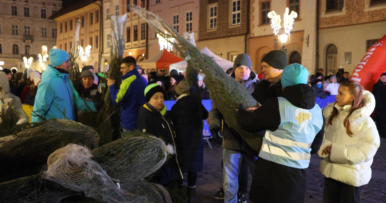 "Choinki pod choinkę od RMF FM i Małopolski" w Krakowie