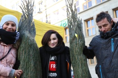 "Choinki pod Choinkę" od RMF FM: We Wrocławiu kolejka nie miała końca!