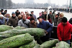 "Choinki pod choinkę" przed katowickim Spodkiem