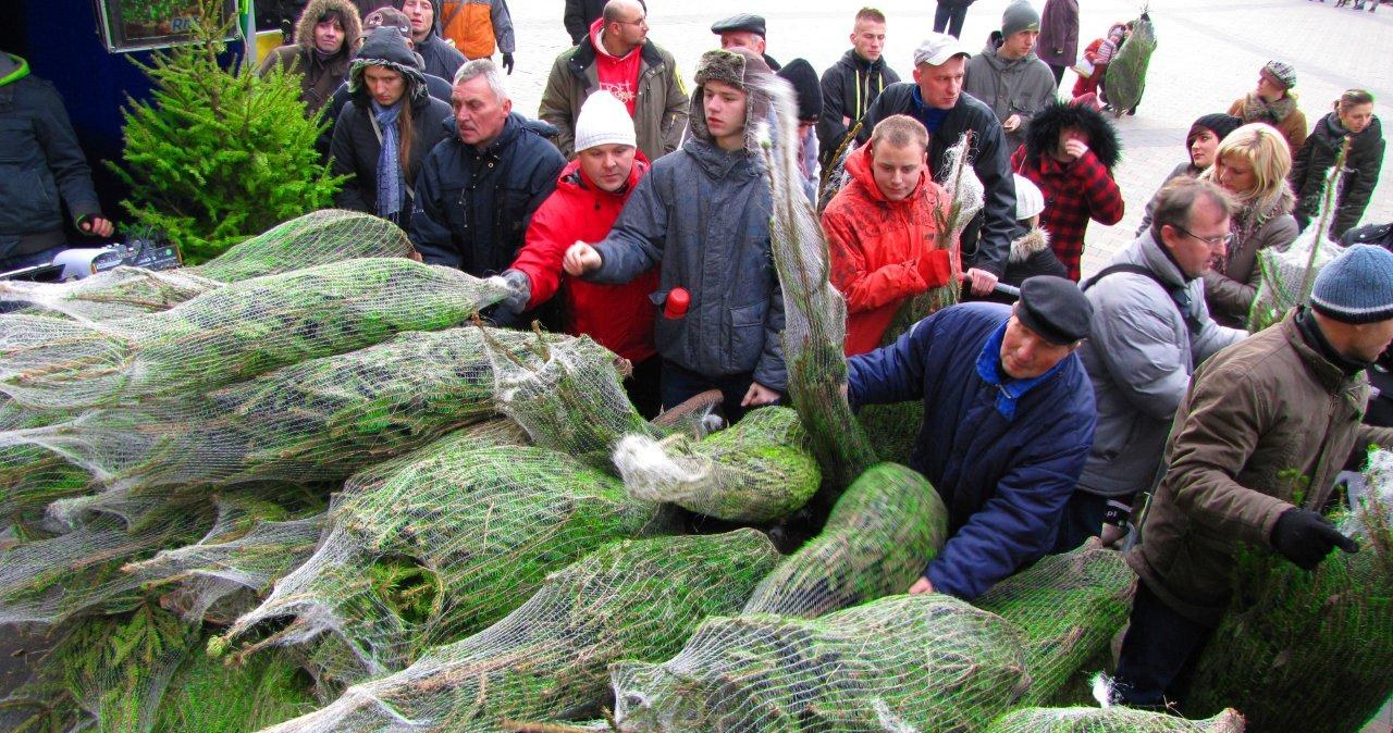 "Choinki pod choinkę" przed katowickim Spodkiem