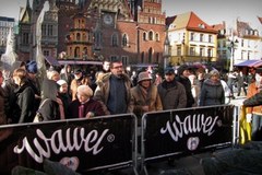 "Choinki pod Choinkę" we Wrocławiu 