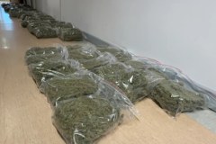 "Duch sternik" zatrzymany