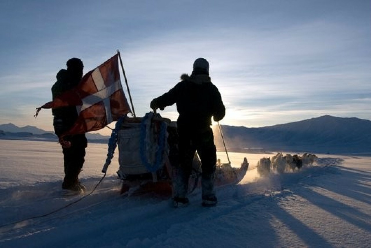 "Dwa psie zaprzęgi". Trump kpi z Danii, Grenlandii i NATO, ale mija się z prawdą