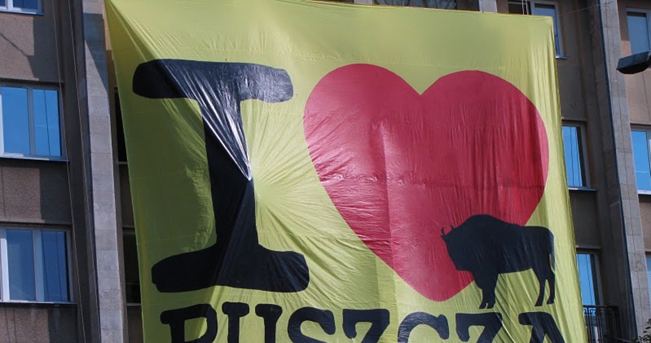 "I love Puszcza"