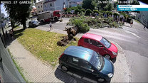 "Interwencja": Drzewo spadło na samochód. Kobiety mogły zginąć, winnych brak