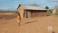 "Polacy za granicą": W Kenii wciąż żyją plemiona koczownicze. Tak wygląda wioska Masajów