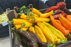 "Pyszne, bo polskie" tym razem na Mazowszu