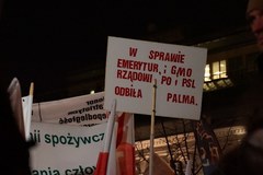 "Rządowi odbiła palma". Marsz środowisk prawicowych w Warszawie