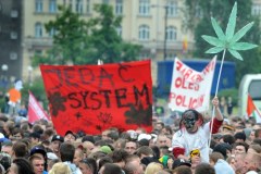  "Sadzić, palić, zalegalizować"