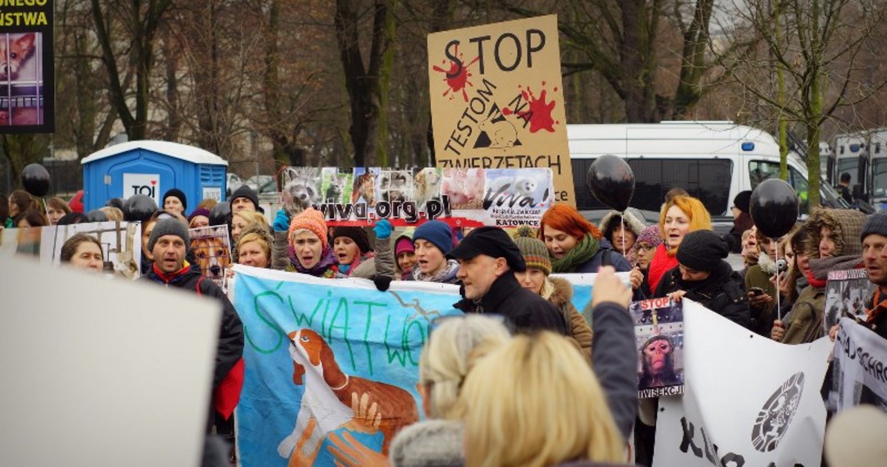 "Stop dla skrajnego okrucieństwa!" Protest obrońców praw zwierząt