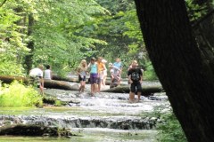 "Szumy" - urokliwy ewenement Roztocza