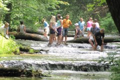 "Szumy" - urokliwy ewenement Roztocza