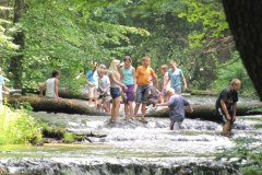 "Szumy" - urokliwy ewenement Roztocza