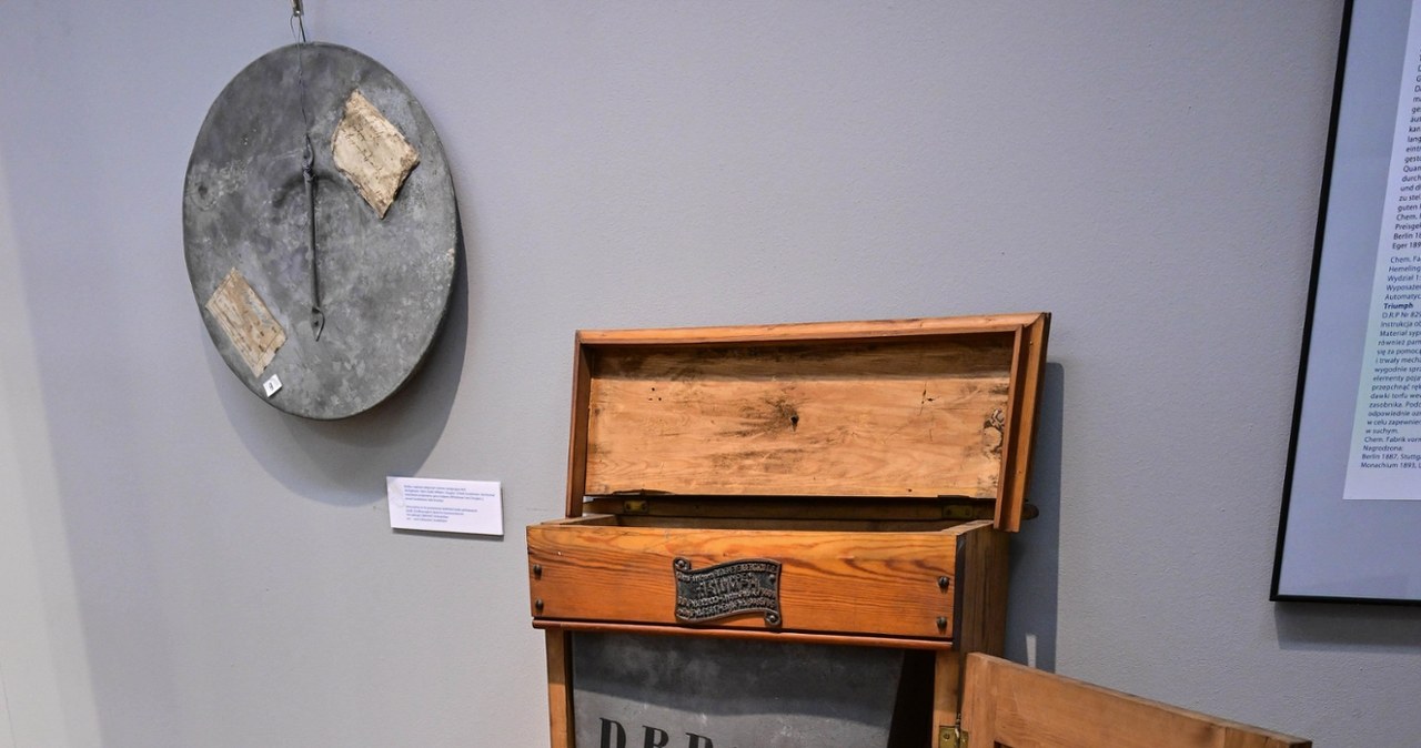 "Tam, gdzie król chodził piechotą"