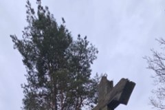"Twój głos to Twoja przyszłość". Odwiedzamy Dubicze Cerkiewne