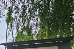 "Twój głos to Twoja przyszłość". Odwiedzamy Zębowice