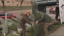 "Wydarzenia": Choinka za krew. Akcja Lasów Państwowych i centrów krwiodawstwa