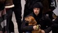 "Wydarzenia": Kolejka po psa. Krakowskie schronisko poprosiło o pomoc