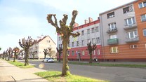 "Wydarzenia": Leżały wyczerpane w domu. Policjanci uratowali dwie starsze kobiety
