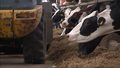 "Wydarzenia": Problemy branży mleczarskiej
